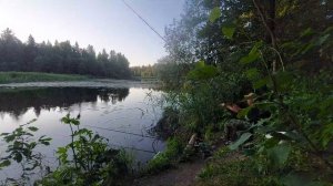 Вечерняя рыбалка на поплавочную удочку.