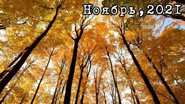 МАГНИТНЫЕ БУРИ В НОЯБРЕ 2021. Самые Неблагоприятные дни. Что НЕЛЬЗЯ Делать. Как ПЕРЕЖИТЬ? смотреть онлайн