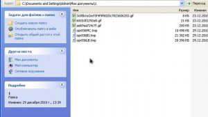 Как достать файл из кэша браузера Opera 11