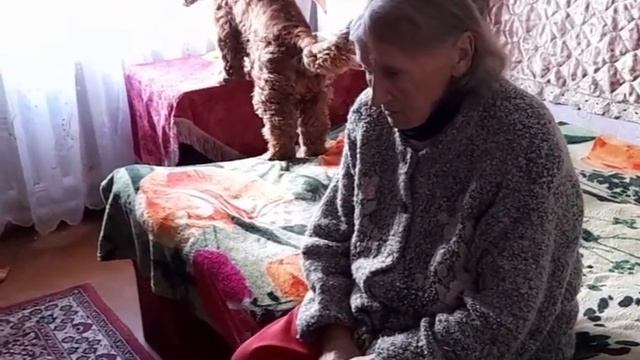 Деменция. Поведение. День с очками. Курей подарить нельзя продать..... смотреть онлайн