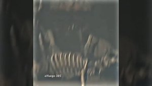 FNAF VHS edit #shorts #рекомендации #fnaf