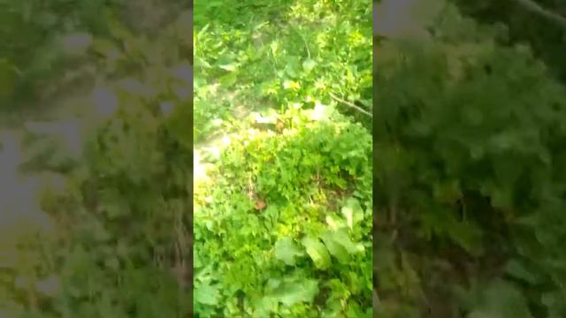 Построїли халабуду смотреть онлайн