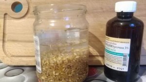 Какие Чудеса Творит Проросшая Пшеница.Что будет если есть проросшую пшеницу.Как проращивать пшеницу