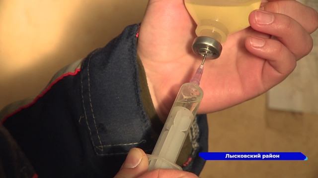Молодые работники аграрных предприятий в Нижегородской области получат выплаты по 500 тысяч рублей
