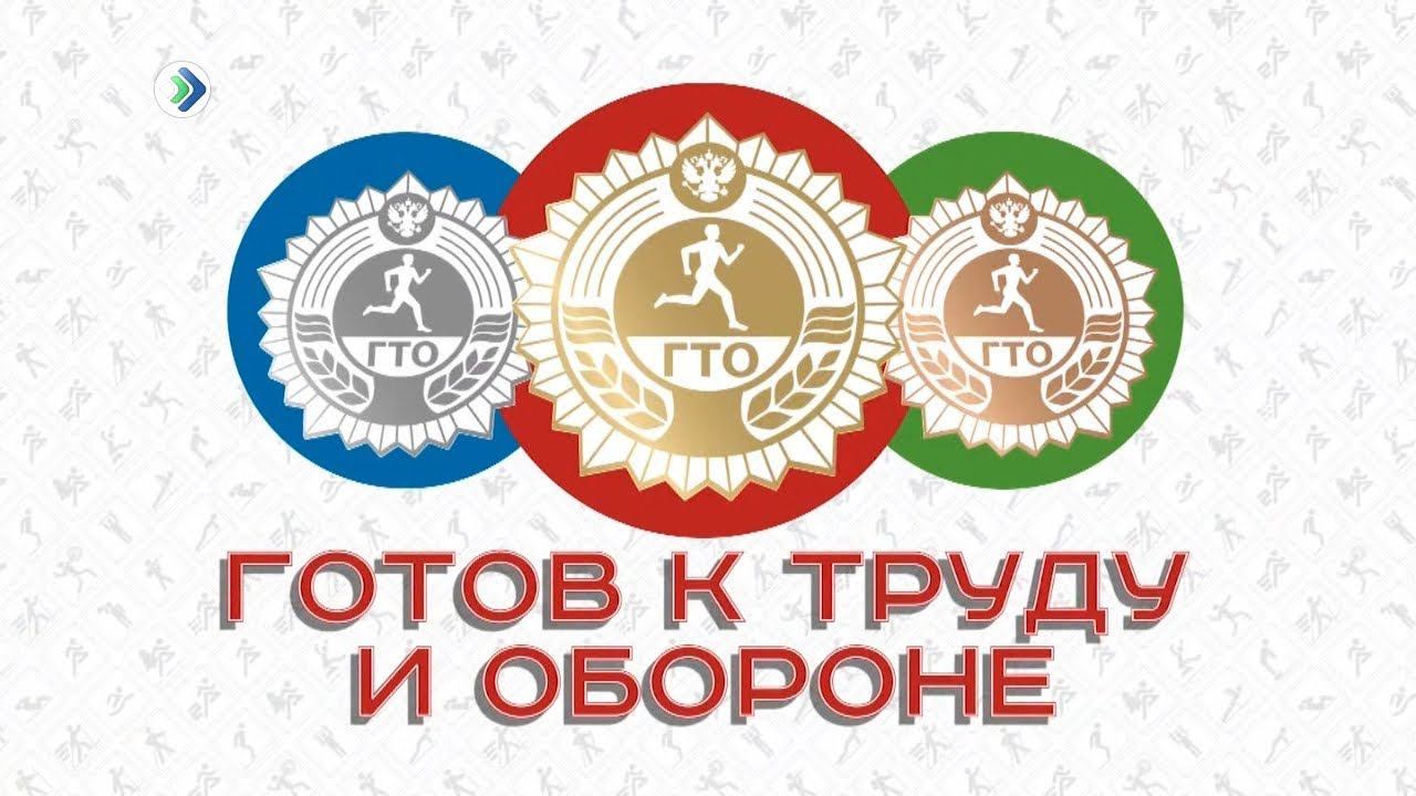 Проект готов к труду и обороне