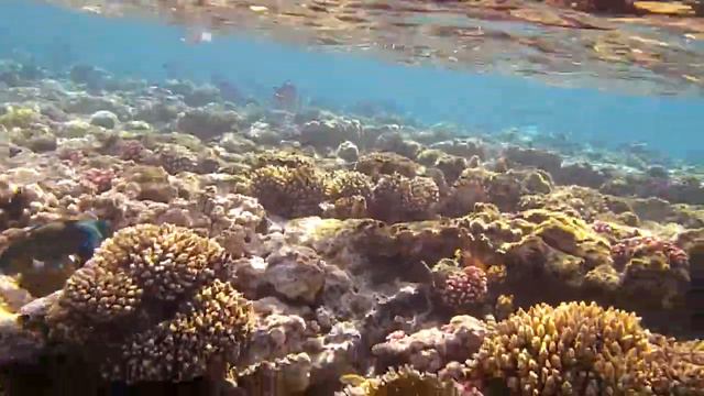 Египет - Красное море - Шарм-Эль-Шейх смотреть онлайн