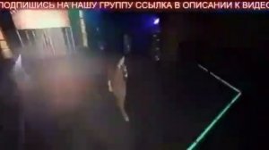 Зарина Тилидзе мама