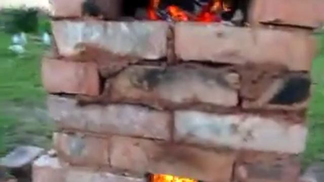 под и колосник смотреть онлайн