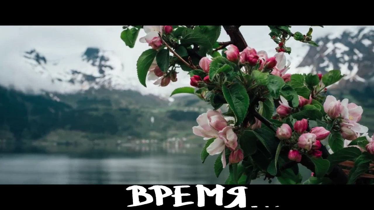 Времена года - красота природы и поэзия в одном видео
