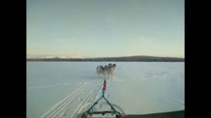 релакс видео с музыкой 18 минут на 6 хаски в 18 градусов мороза