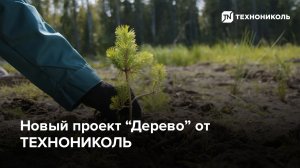 Новый проект «Дерево» от ТЕХНОНИКОЛЬ