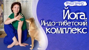 Йога. Делай так каждое утро, и в сто лет будешь чемпионом