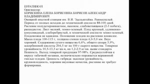 Перец сладкий Буратино F1 ОТЗЫВЫ семена