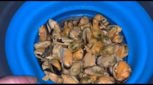 Праздничный салат с мидиями и креветками.