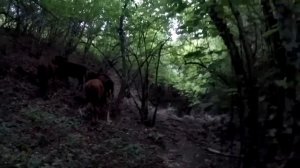 Водопад козырек / Муловское озеро / Крым 2019