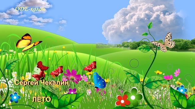 Сергей Чекалин - Лето