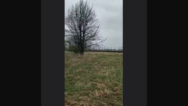 Реальный коп моего камрада