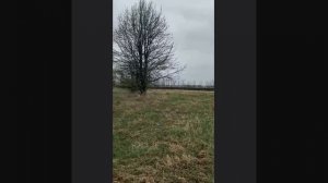 Реальный коп моего камрада