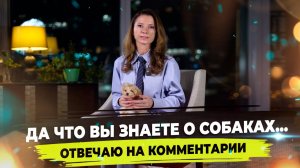 Уход за мальтипу. Почему текут глаза у мальтипу. Корм для собак.