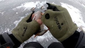 ПРИМАНКА БУДУЩЕГО! ОНА ОБЛОВИТ ВСЕХ! зимняя рыбалка 2022