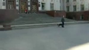 Объездка "дикого мустанга" часть 2