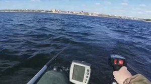 Лодочный электромотор WATERSNAKE