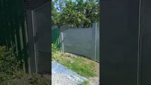 Отзыв Молотковая краска 3 в 1 Polifarb. До и После