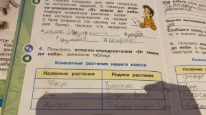 Окружающий мир/2 класс/Плешаков/Рабочая тетрадь/часть 1/Комнатные растения/стр.53/22.11.20