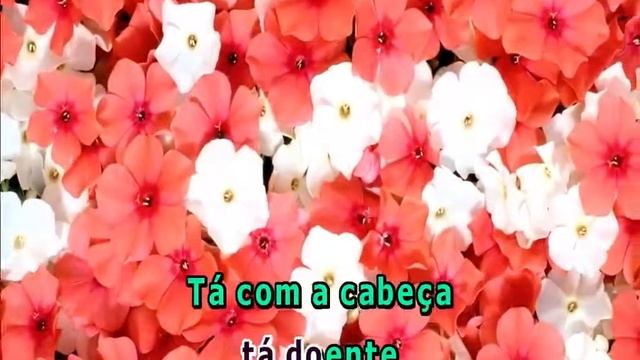 SAMBA LELE FOLCLORES смотреть онлайн