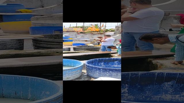 Мумбайская прачечная