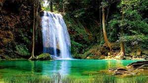 ? Успокаивающая Музыка для крепкого Сна на фоне красивой природы ? Для быстрого засыпания