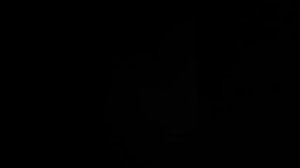 Реклама (Радио Ретро ФМ (г. Ярославль), 15.12.2017)