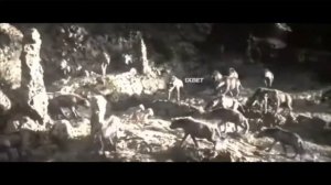 Король лев:Муфаса спасает Симбу от гиен.1994/2019.