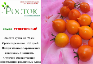 томат УГЛЕГОРСКИЙ свои семена и ПРО ф семена донецк ДНР (720p)