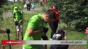 Редкие для Сибири кустарники и деревья высадили в одном из дворов Иркутска