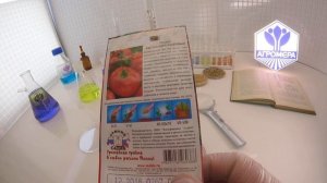 Томат Китайский розовый. СеДеК