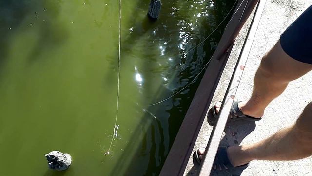 ШОК!!!столько раков в одной раколовке ты не видел. смотреть онлайн