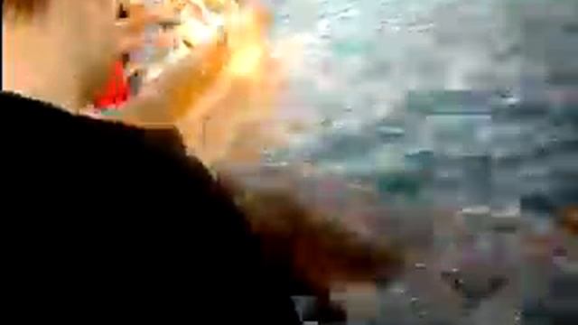 Кормим дельфинов-2 смотреть онлайн