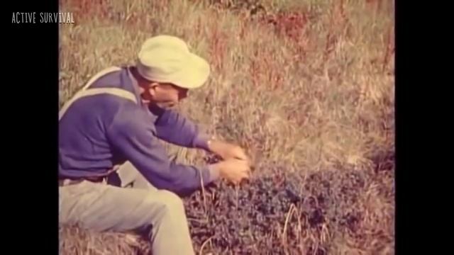 ? Дик Преннеки - Один в дикой природе (1968)