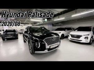 Осмотр/обзор автомобиля  Hyundai Palisade #hyndai #palisade