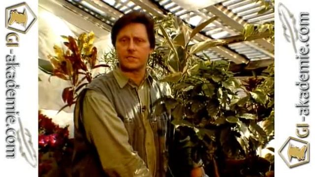 Комнатное цветоводство -- 5 смотреть онлайн