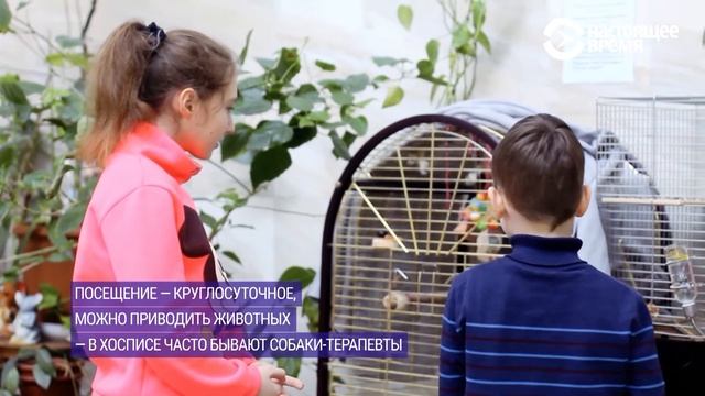 Хоспис — это про жизнь. Оля Эбич в проекте ZOOM смотреть онлайн