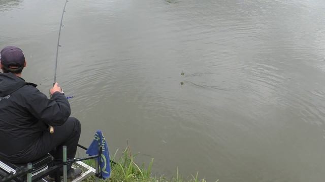 Ловля карпа на фидер в рыбхозе Гжелка на прикормку Village Fishing с эхолотом Практик 7 Wi-fi смотреть онлайн