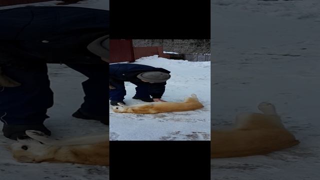Дедушка и Рада.
