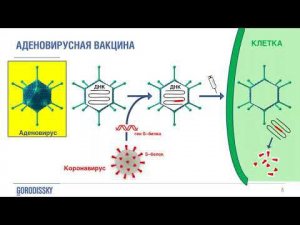 Вебинар, Пандемии и вакцины  Взгляд поверенного