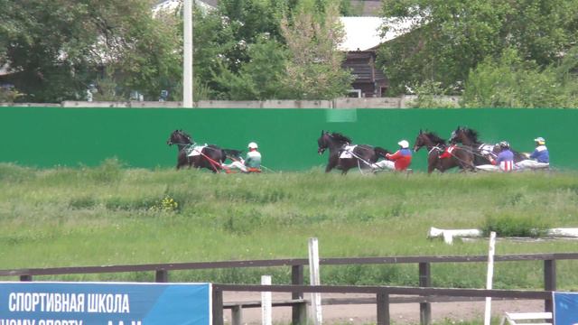 12.06.2021г. БСК  г.Абакан Кубок Коневладельцев Сибири лошади рысистых пород  стар.возр.1600м