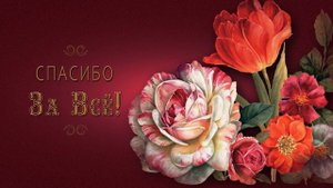 ✅Спасибо за все!✅