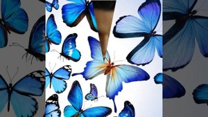 Станислав Бондаренко ??