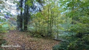 Хирург взял на работу нищенку с ребенком, а пригласив её ради шутки на встречу выпускников...