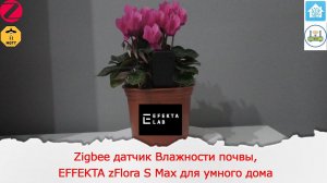 Zigbee датчик Влажности почвы, а так-же температуры, влажности и освещения EFFEKTA zFlora S Max